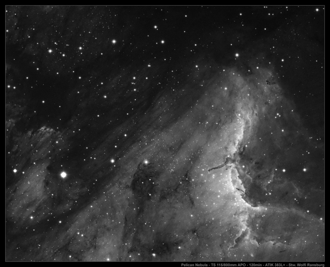 Pelican Nebula - TS 115/800mm APO Ausschnitt