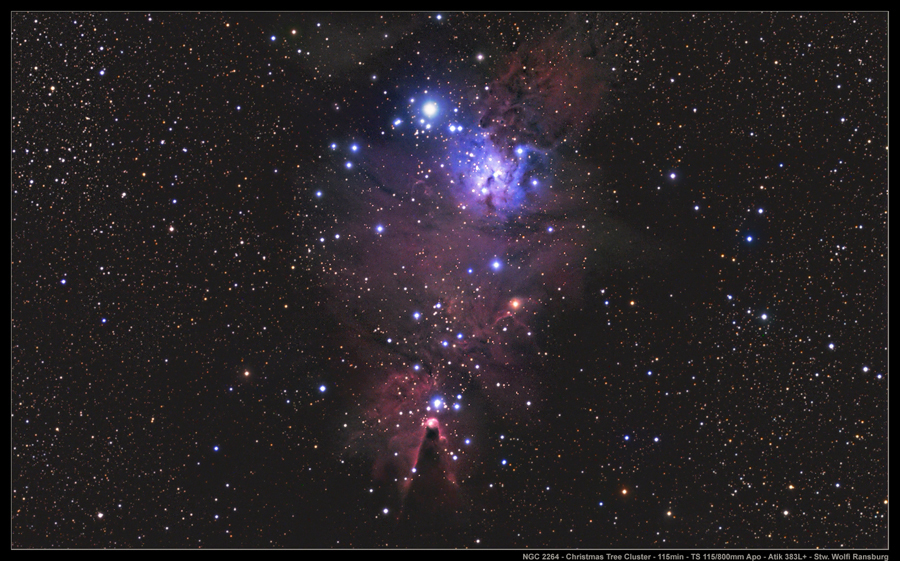Christmas Tree Cluster - TS 115mm APO - Wolfi Ransburg