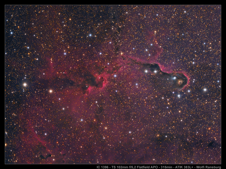 VDB 142 - Elephants Trunk