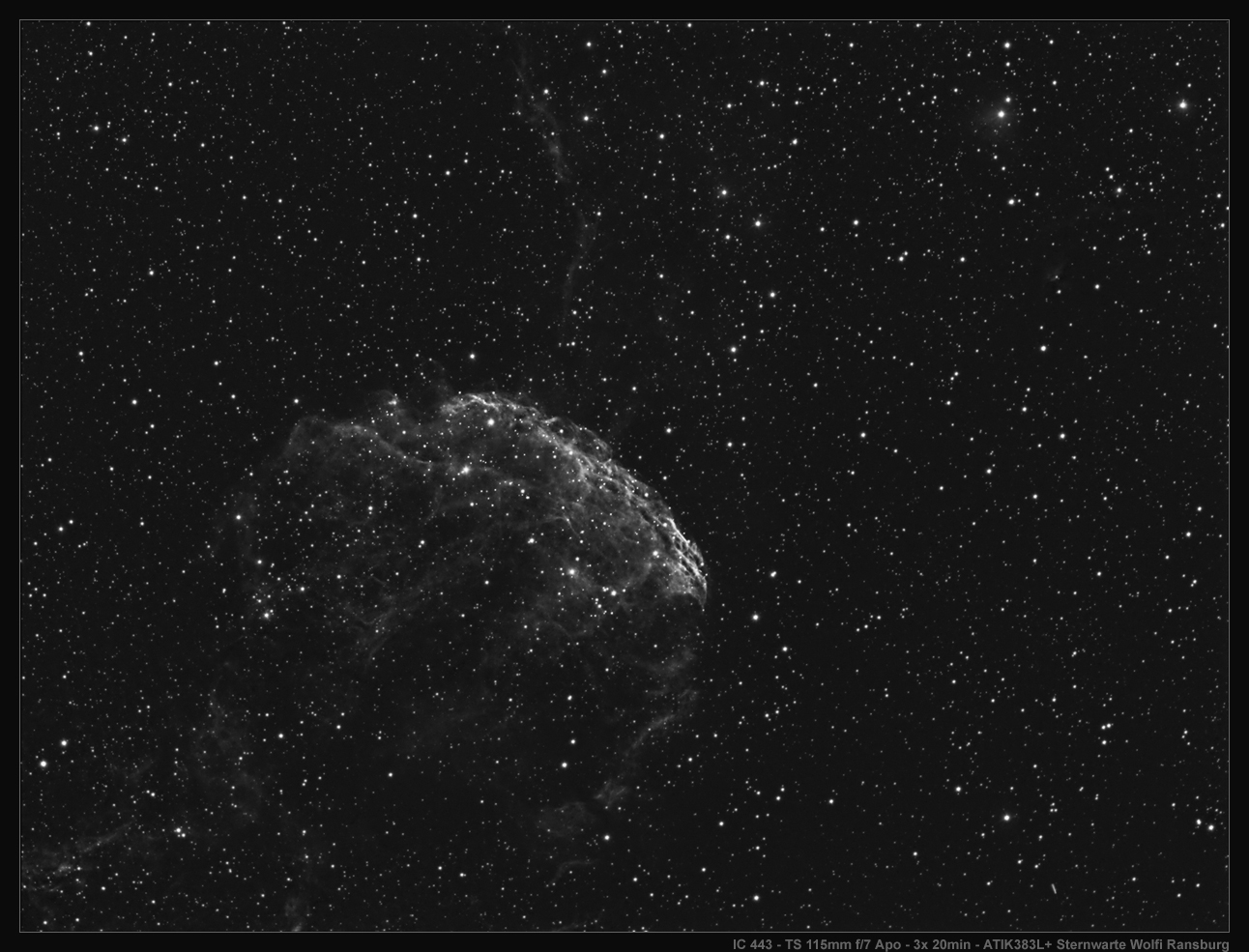 IC443 Quallen Nebe
