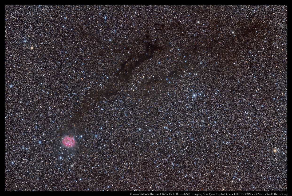 Cocoon Nebula - TS 100mm Quadruplet Apo