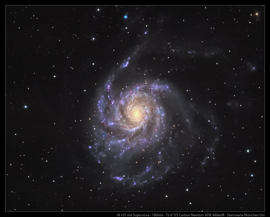 M101 Supernova