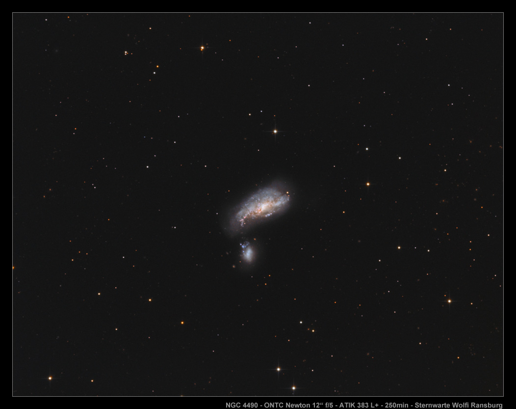 NGC 4490 - TS ONTC Newton - Wolfi Ransburg