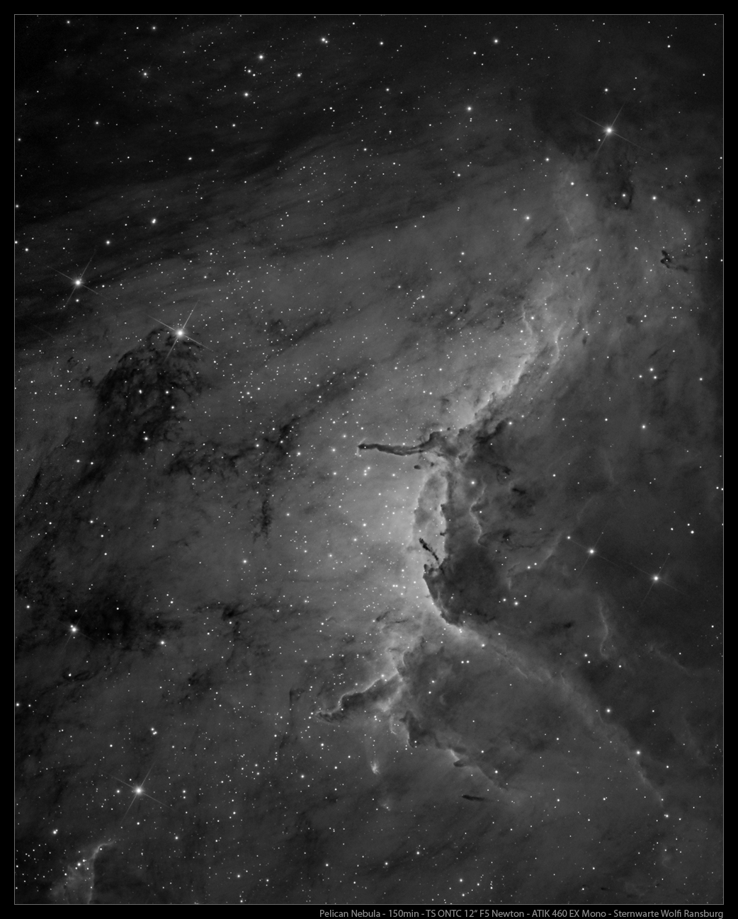 Pelican Nebula - TS 12" ONTC Carbon Newton