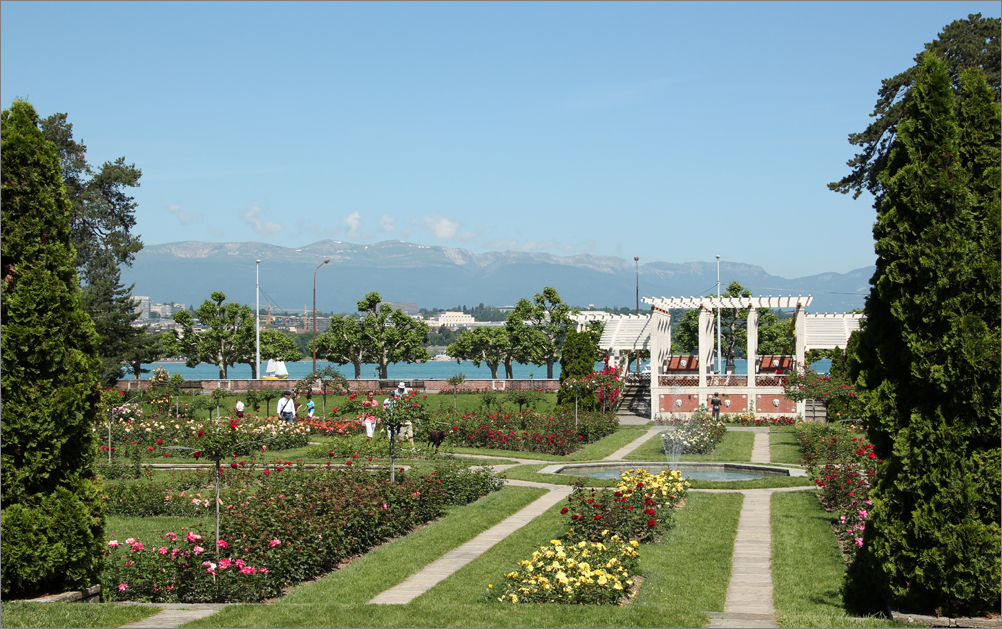 Genf Rosengarten